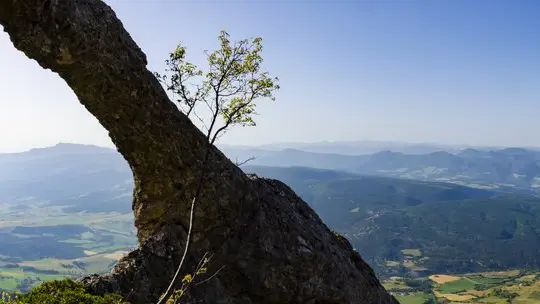 L'Arche de Maraysse