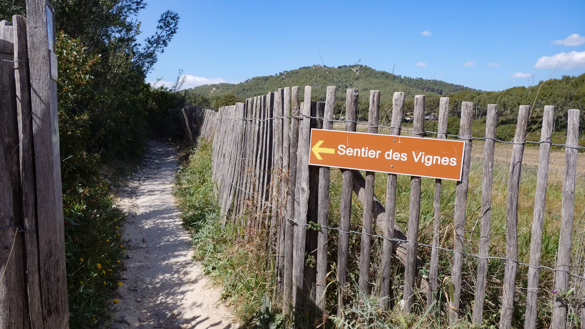 Le sentier des vignes