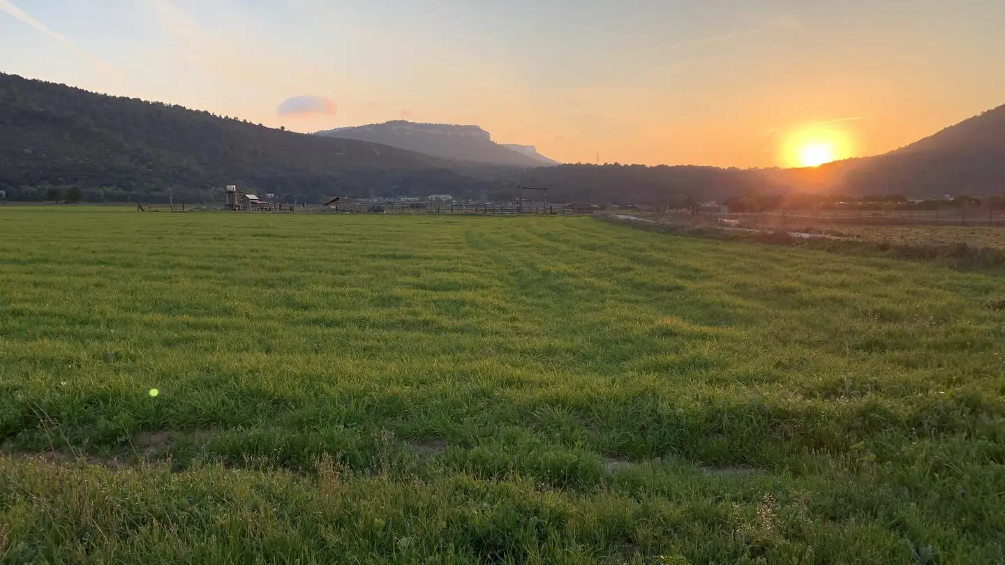 Couché de soleil sur le domaine. 
Mars 2021