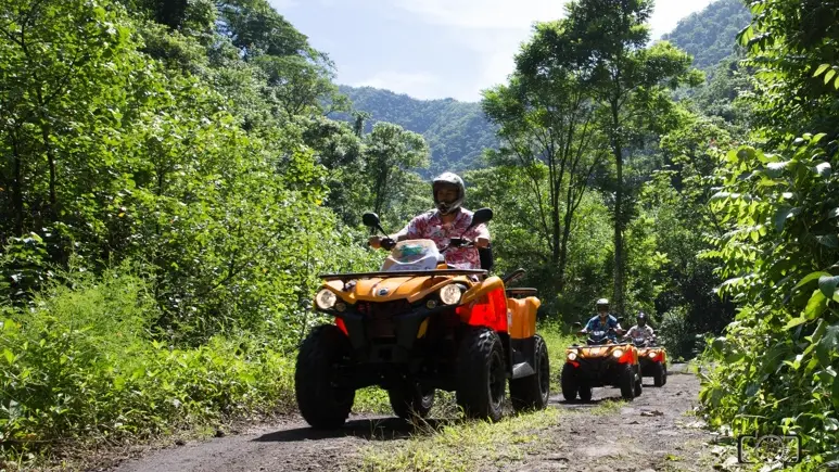 Vaihiria Quad Tahiti