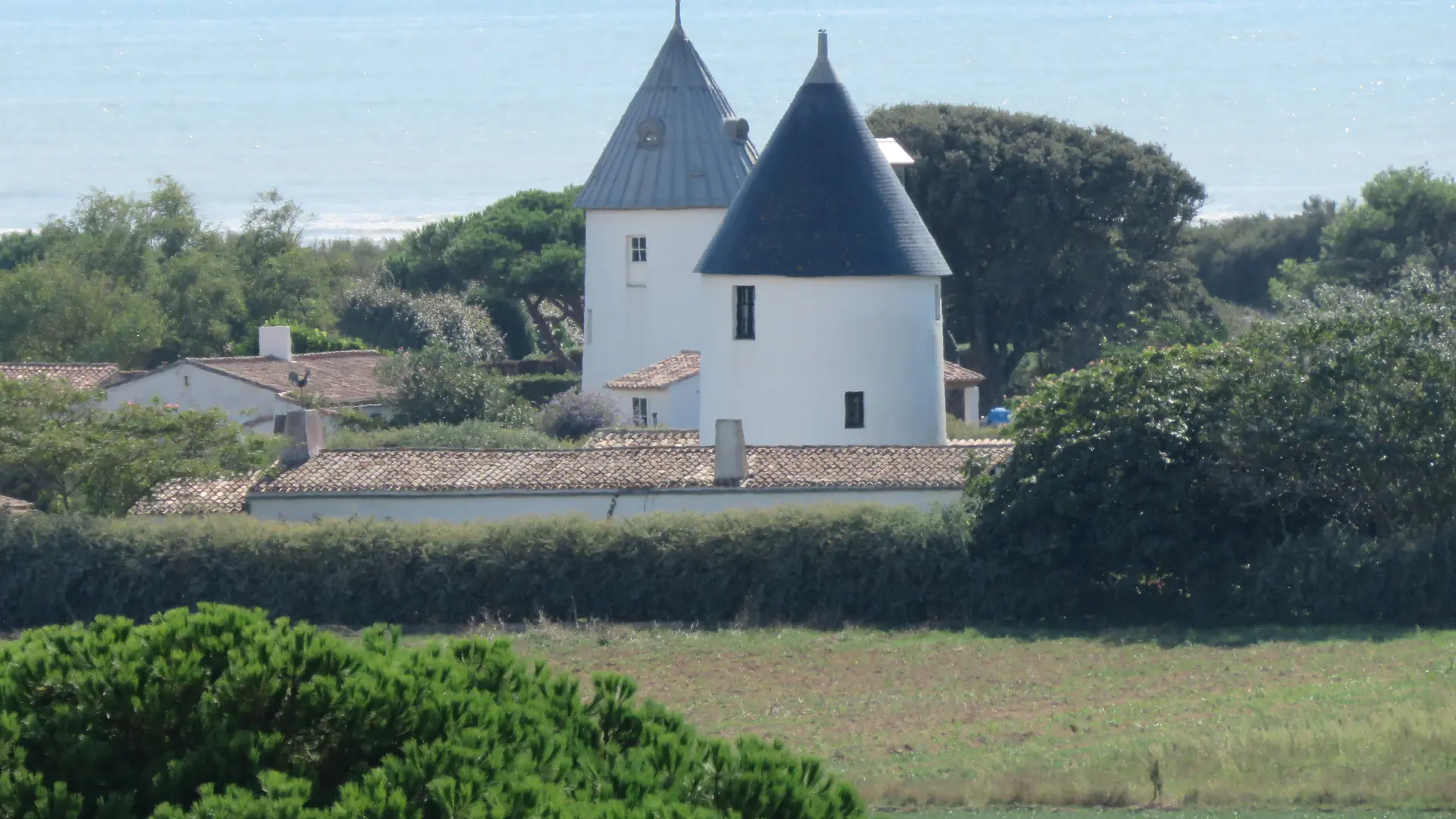 Ars-en-Ré - Les moulins