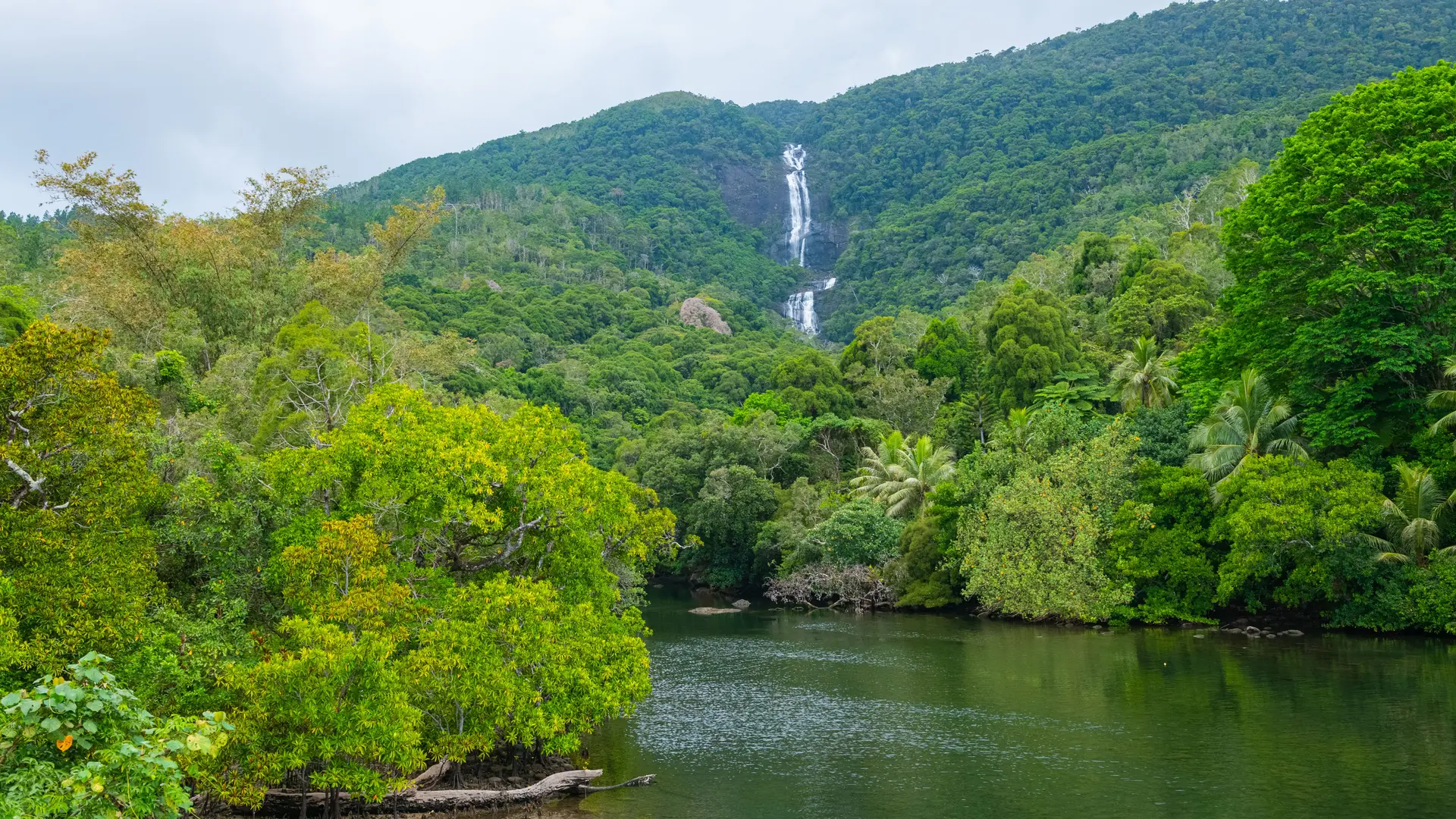 paysage, embouchure, vert, naturel, cascade de Tao, Hienghène