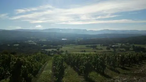Domaine De La Beliere - Cerdon - Rongier Céline et Gaël
