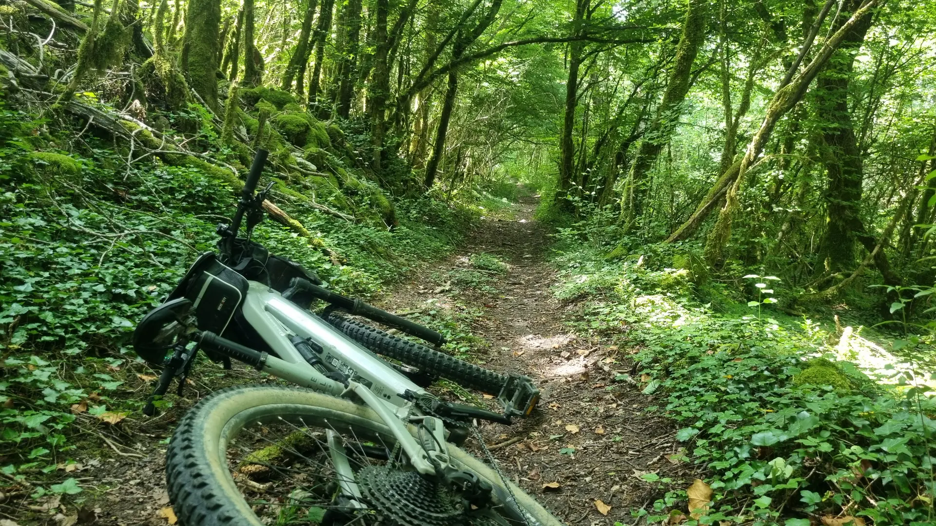 Circuit VTT n°7 (rouge) - Drom - Villeversure