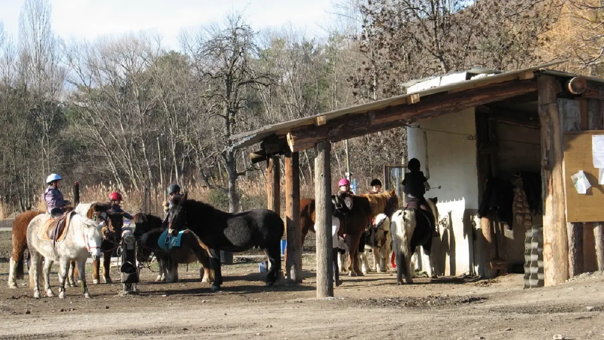 Centre Equestre EquiSoleil à Veynes