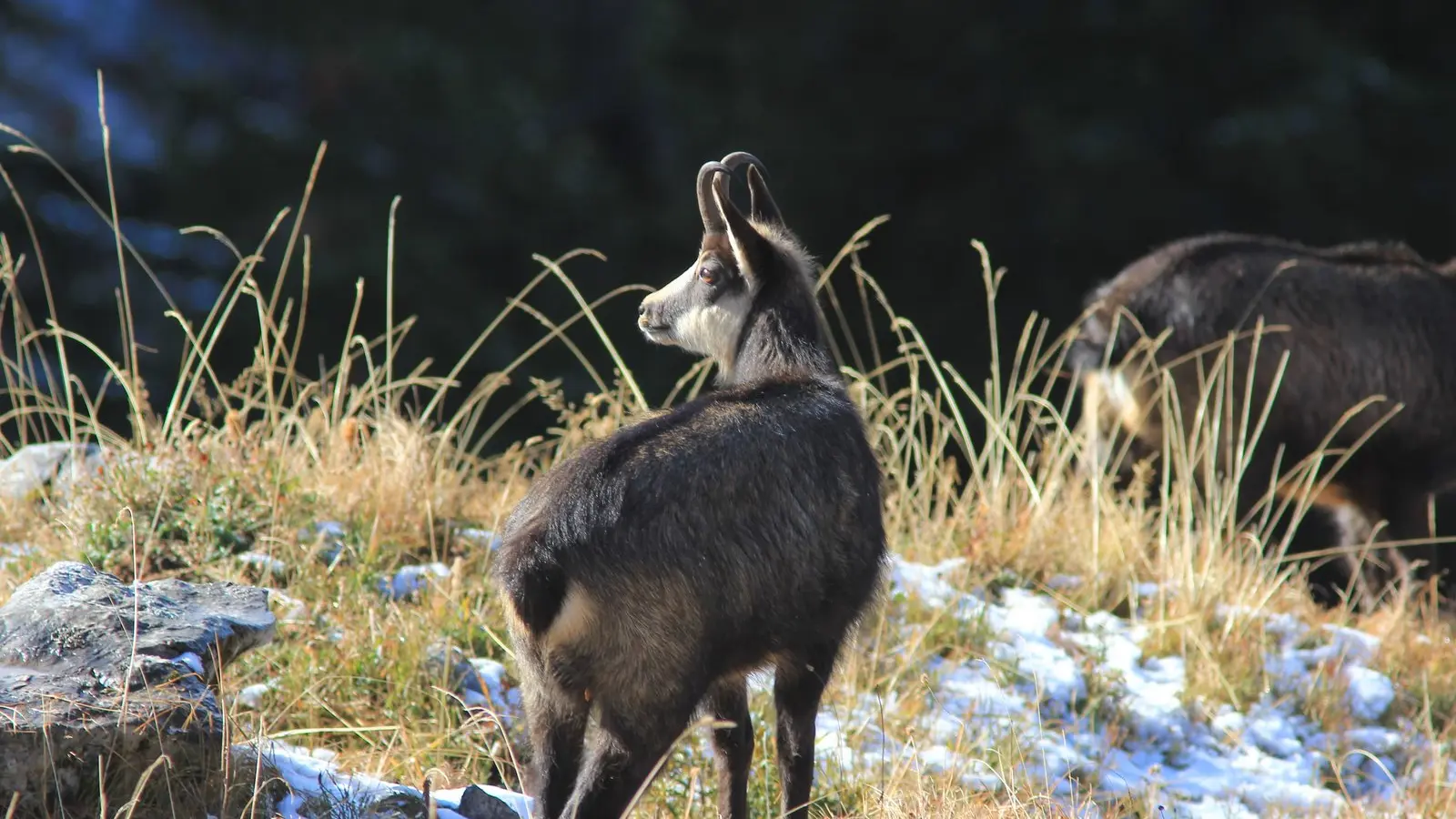 sorties montagnes avec Maxime