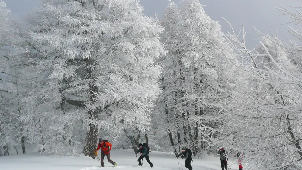 Ski de randonnée avec l'ESF de Névache