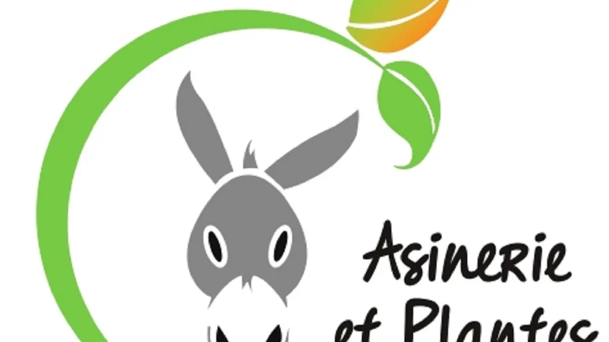 Logo asinerie