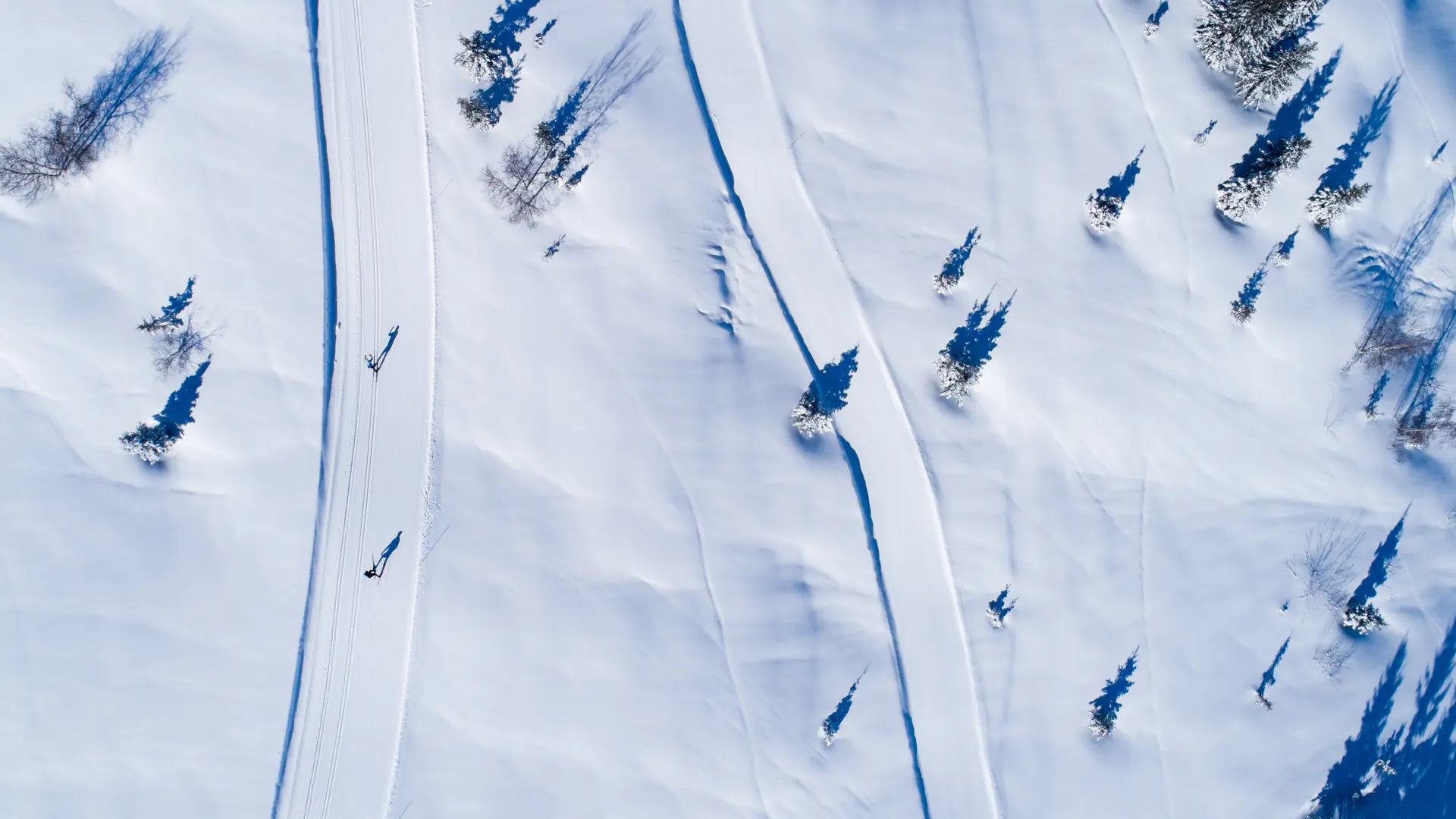 Ski de fond et grands espaces