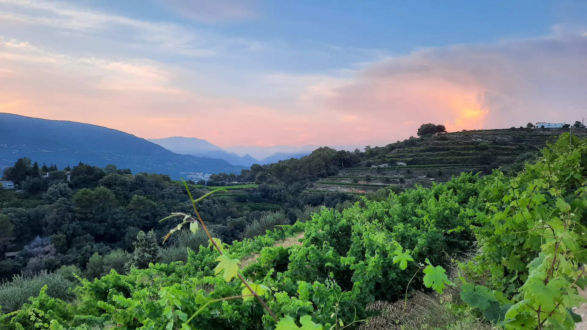autre point de vue de chez nous