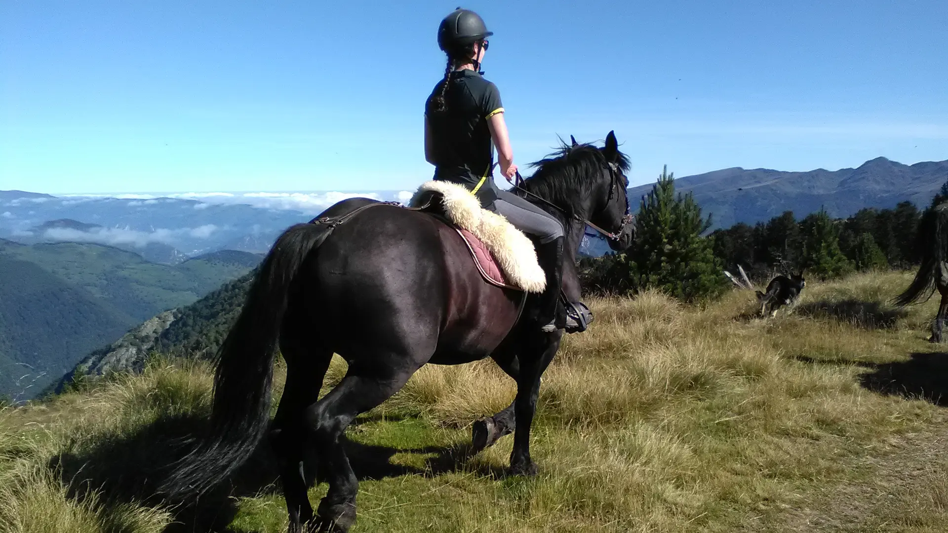 rando à cheval