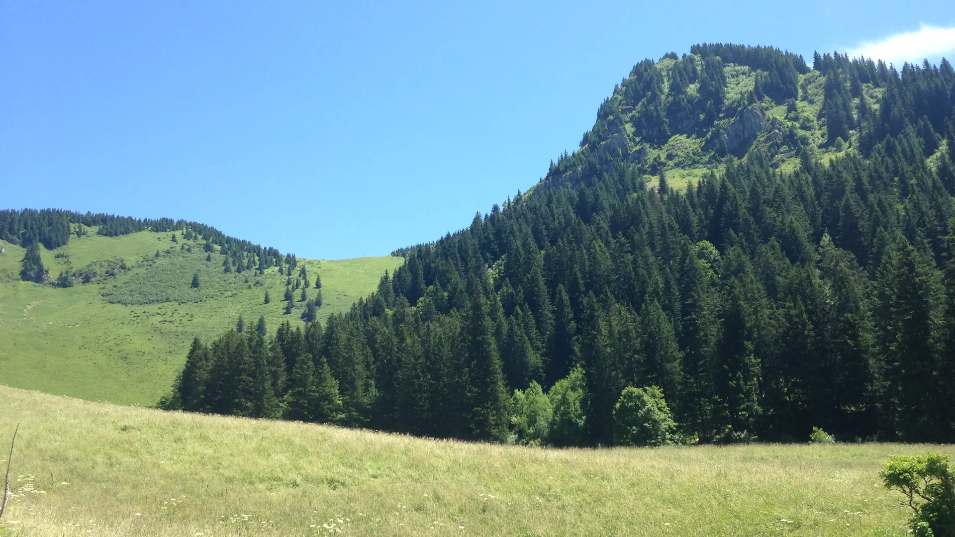 Chalet d'alpage de Barbossine