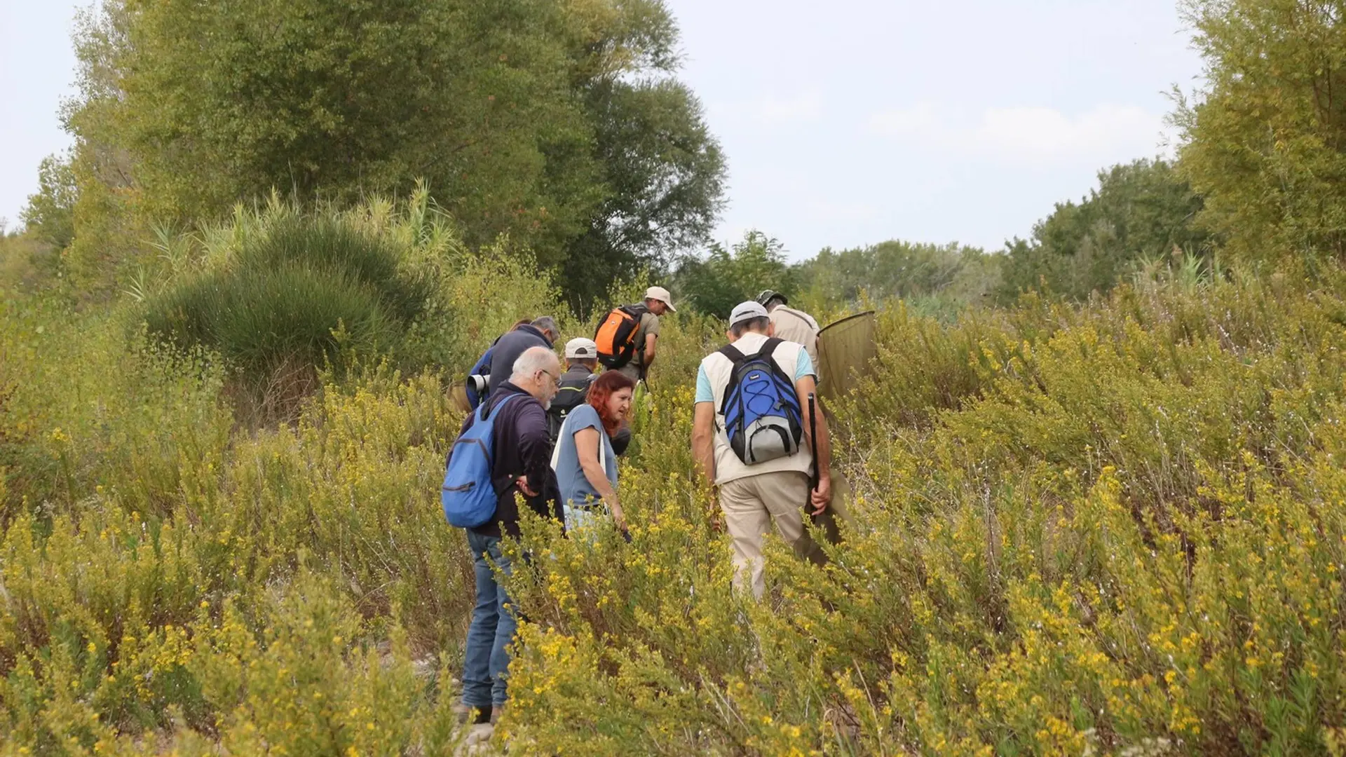 Prospections à Lauris