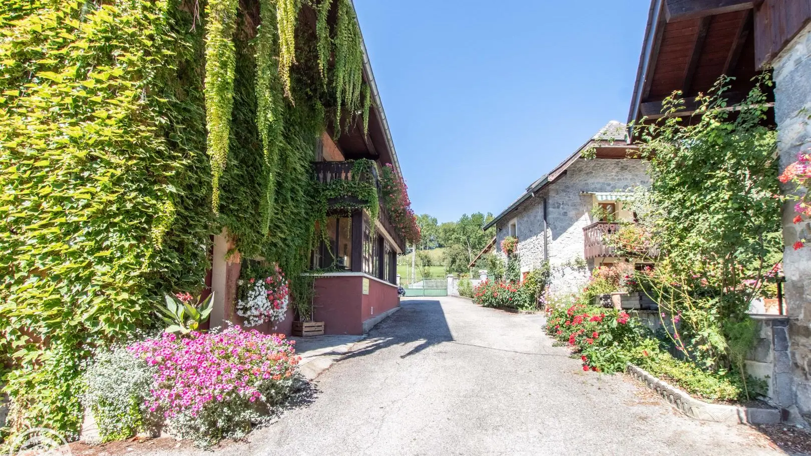 Chemin principal du site Moulin Dollay