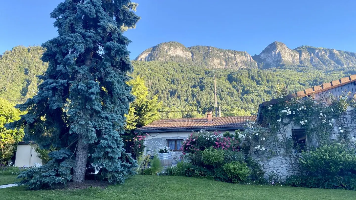 Vue montagnes
