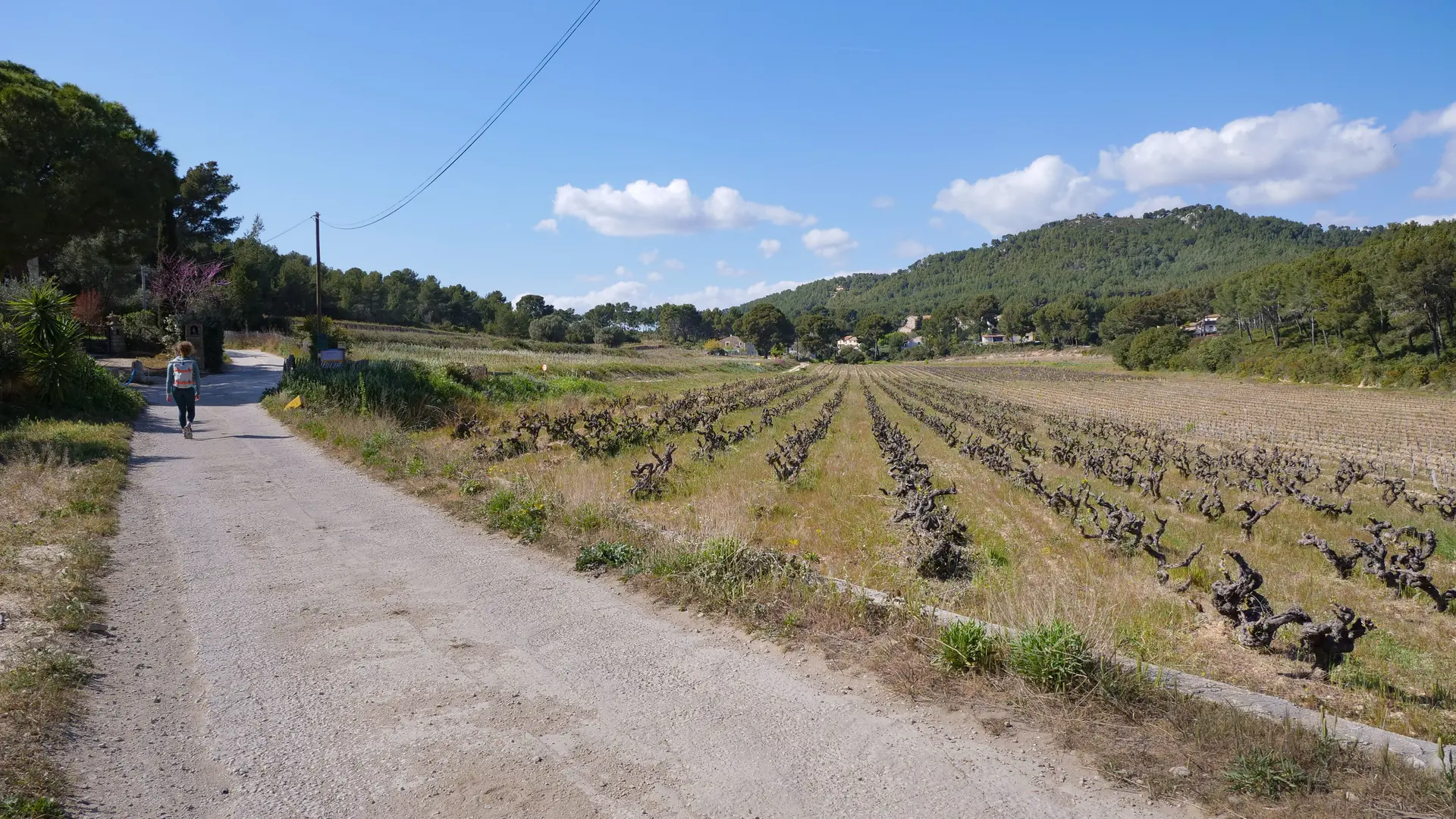 Le sentier des vignes