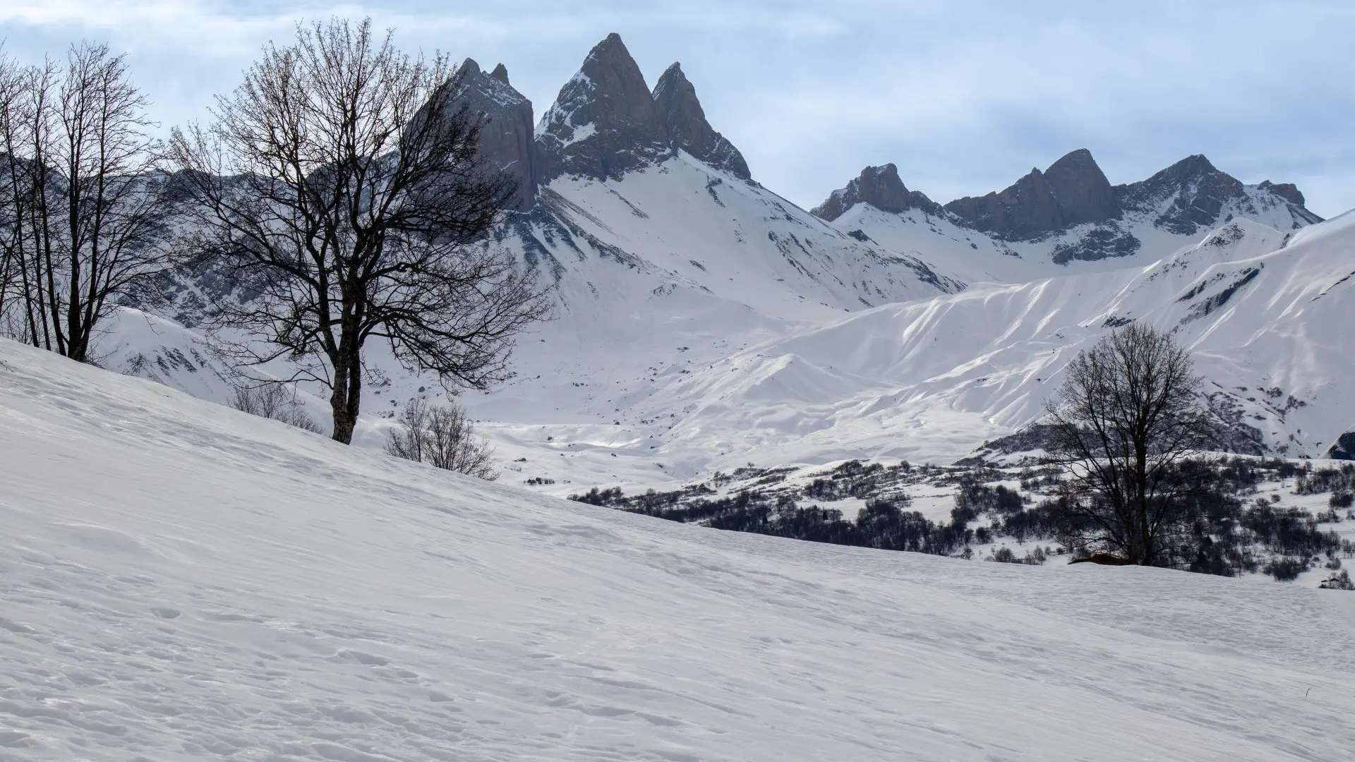 Paysage