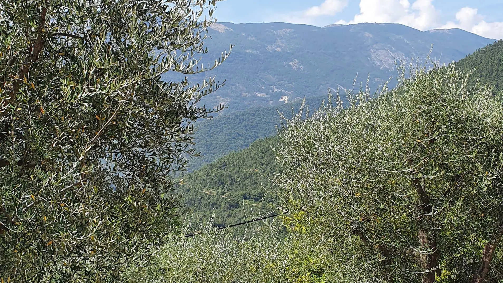 La Vistarella-Vue-Pierrefeu-Gîtes de France Alpes-Maritimes