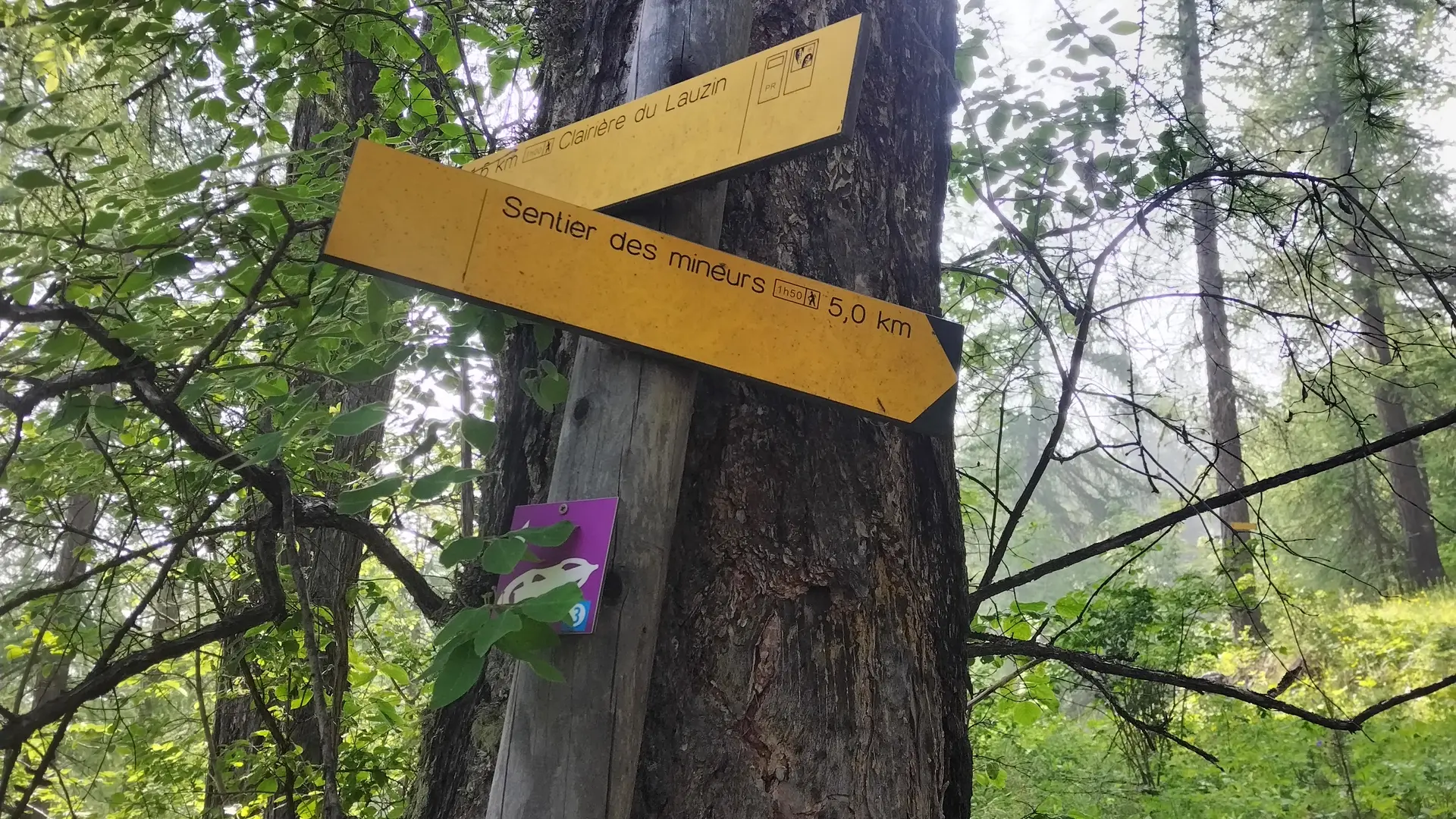 Panneaux de signalétique