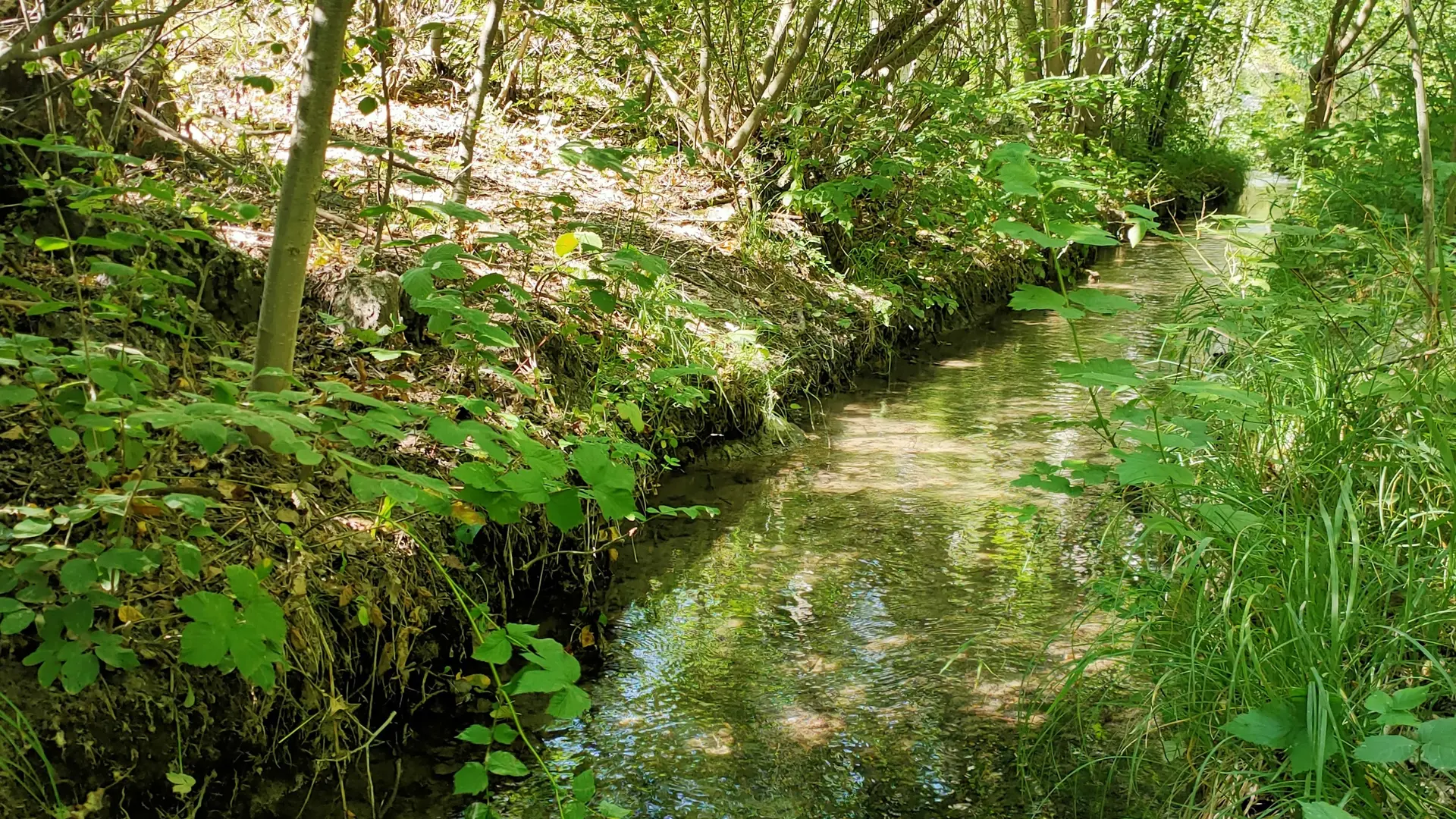 Balade sur les canaux au départ de Puy-Saint-Pierre