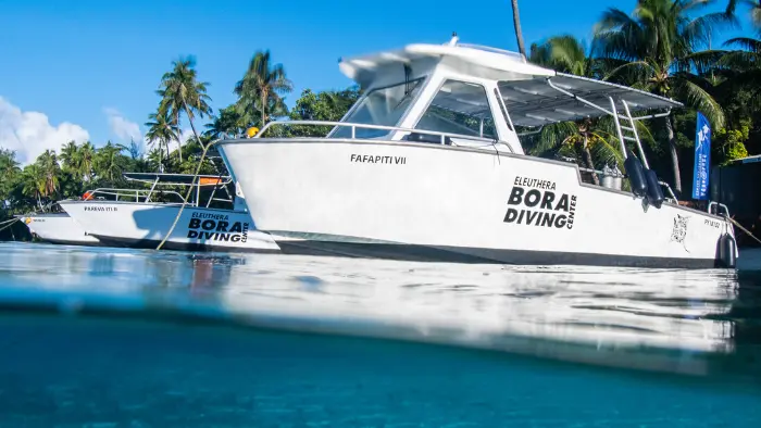 Eleuthera Bora Diving Center