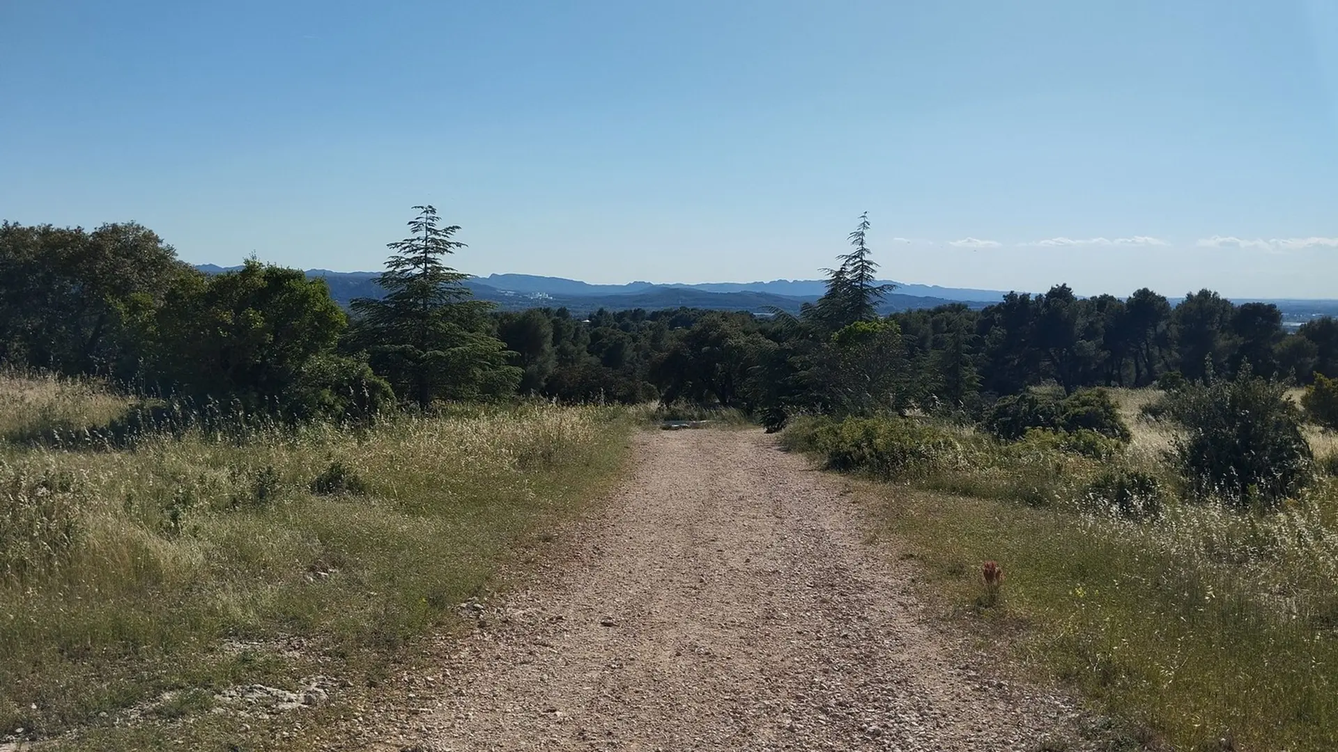Chemin de Pied Caud et massif des Alpilles