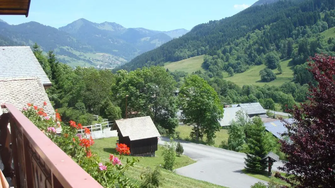 Vue estivale du balcon .