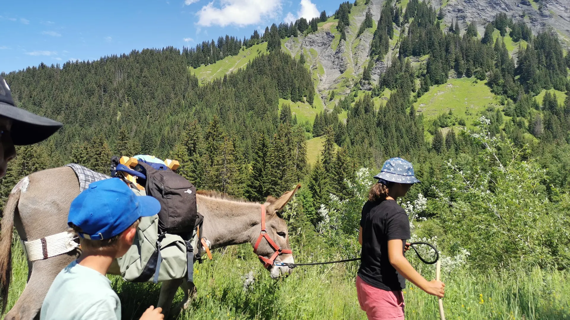 Rando-anes-megeve