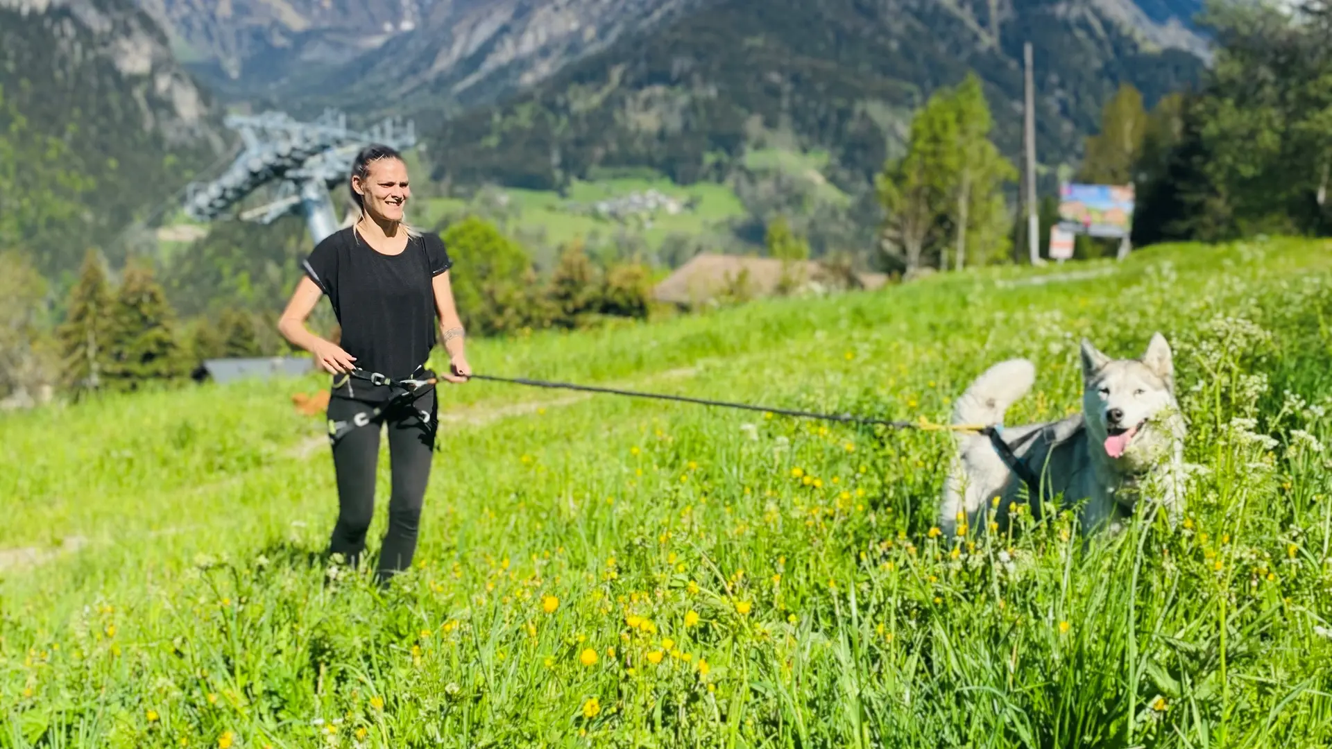 Balade avec un Husky