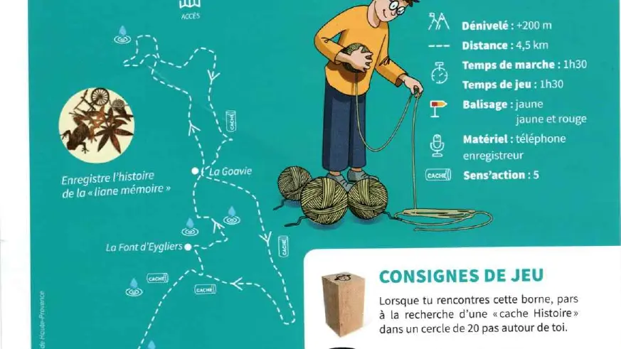 Les oasis enchantés