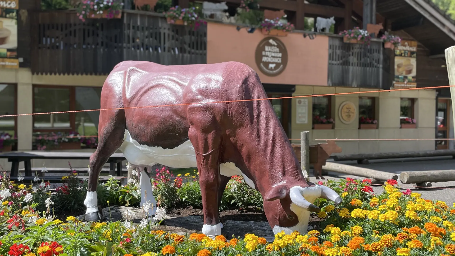 Maison du Fromage Abondance