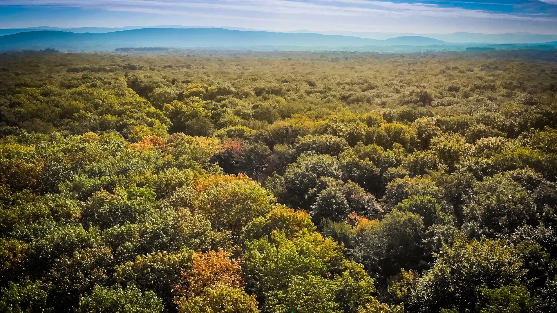 Vue du ciel