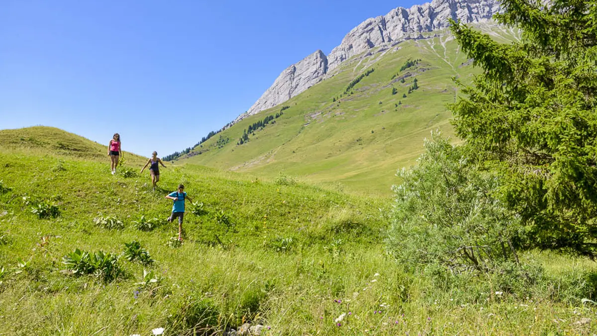 Les Aravis