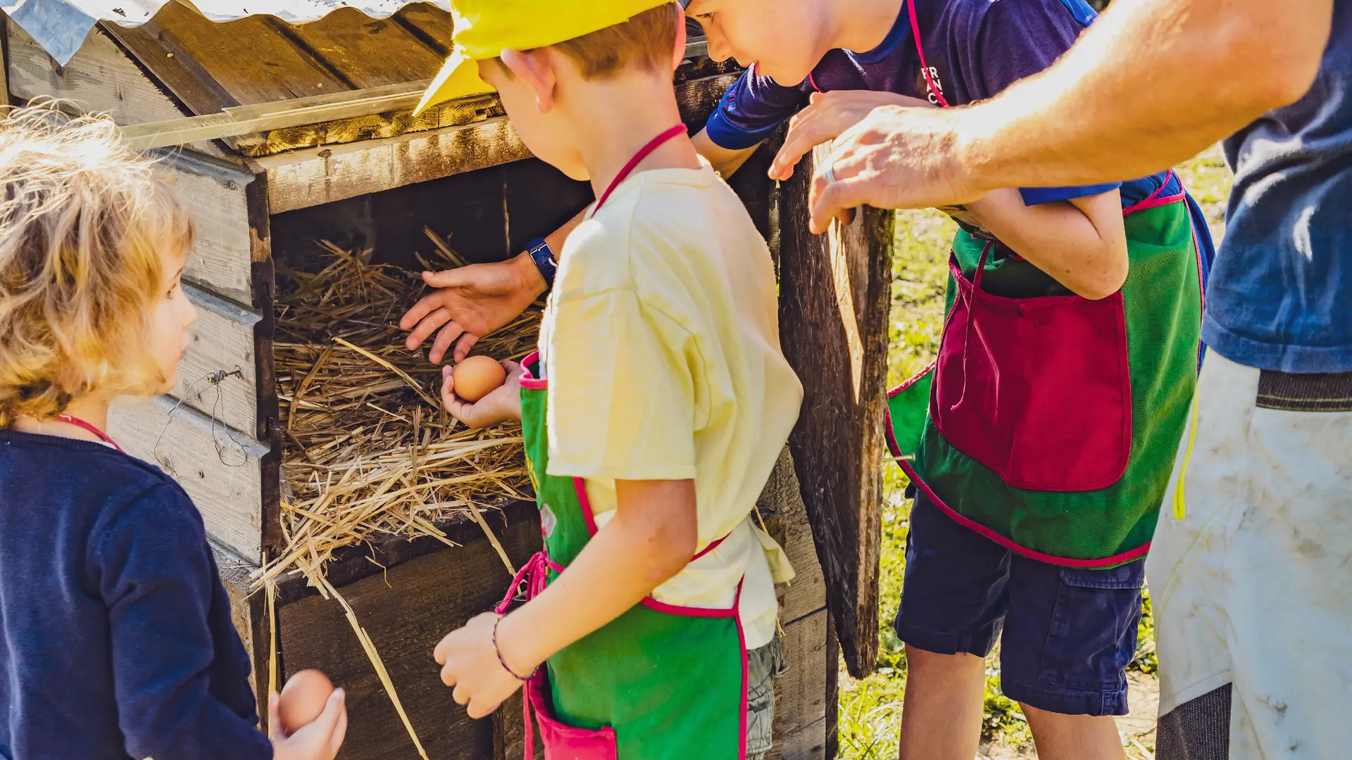 Nourrir les animaux à l'atelier les petits fermiers