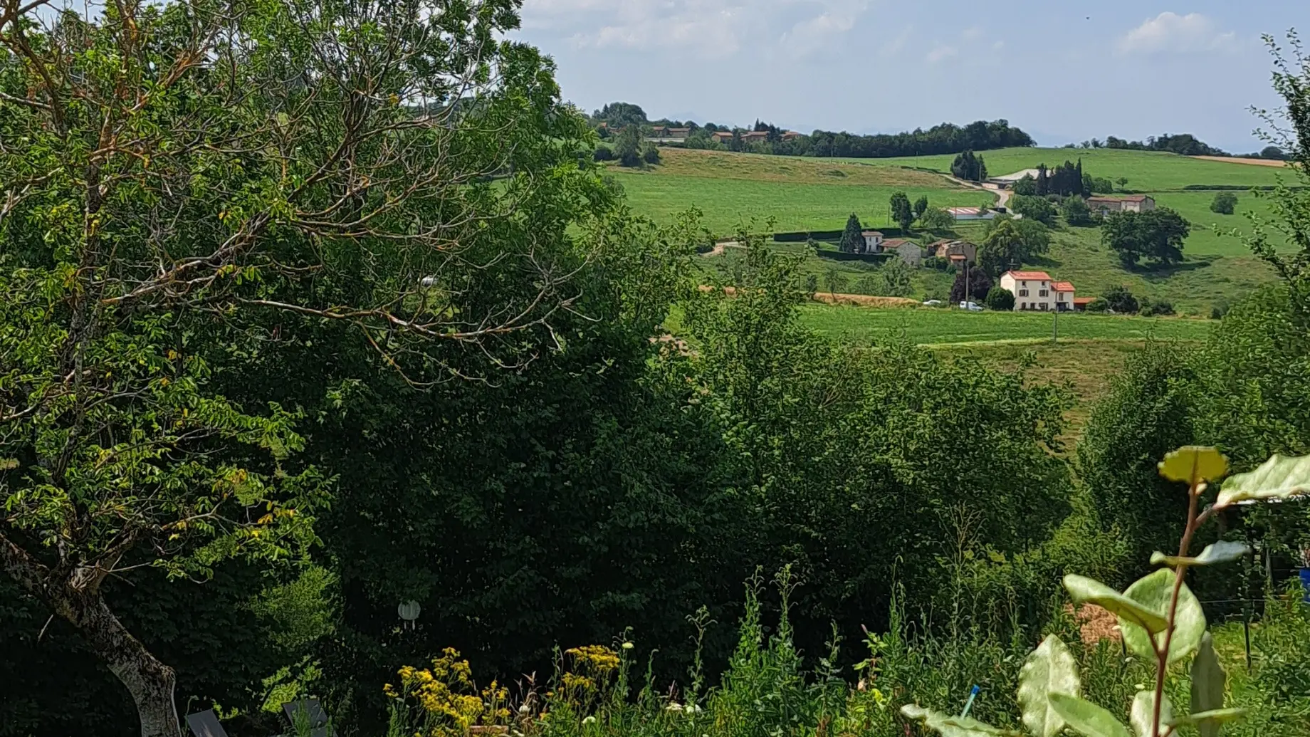 Jardin avec piscine