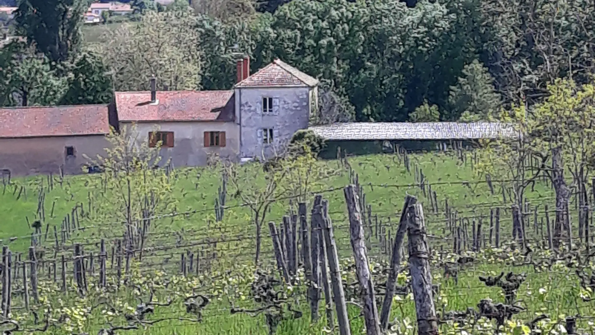 Le Picatier au printemps