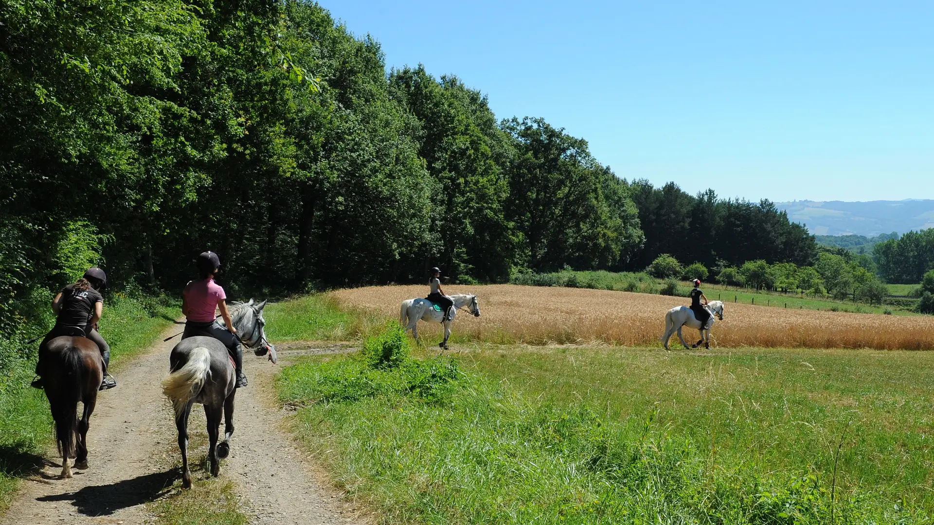 Randonnée équestre à Nizerolles
