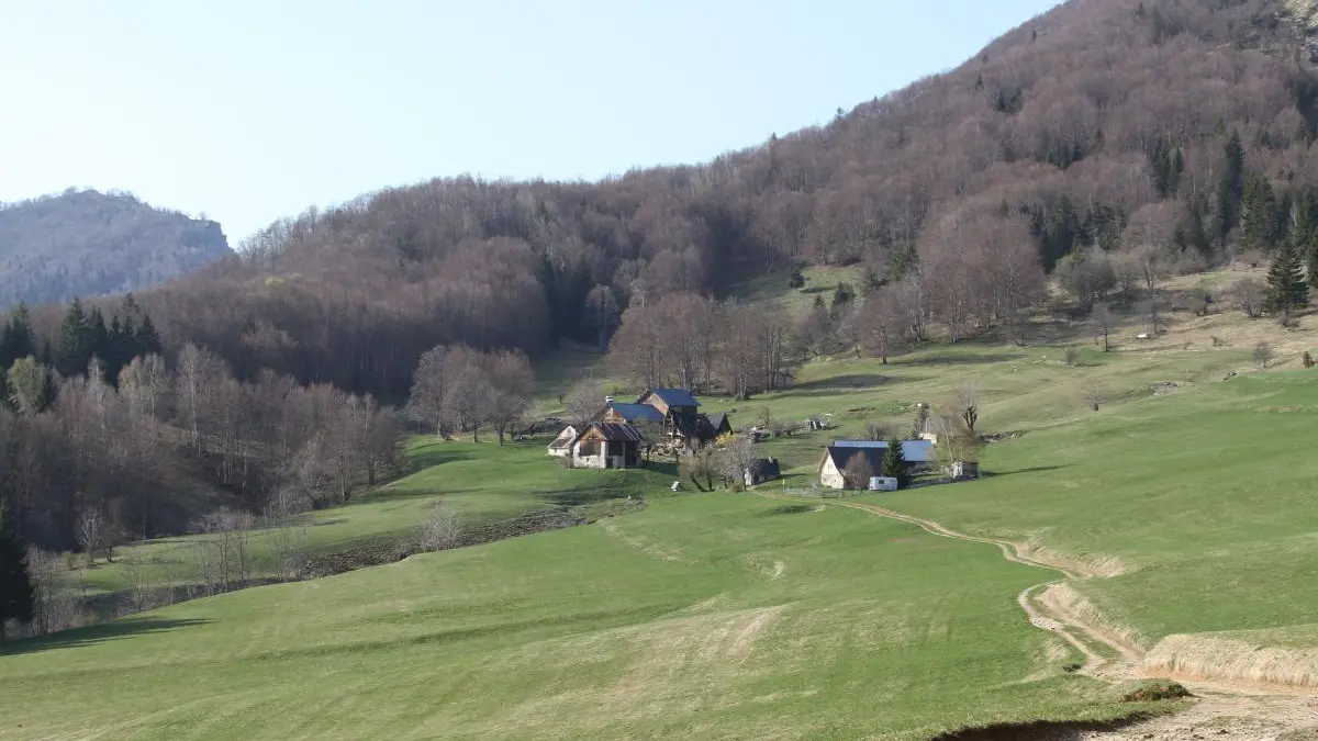 Balade en Chartreuse à 20 minutes du gite