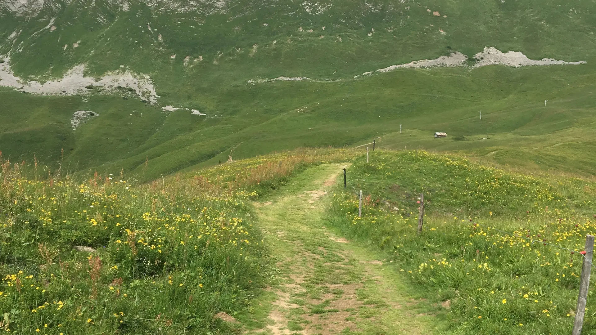 Le Tour du Lachat
