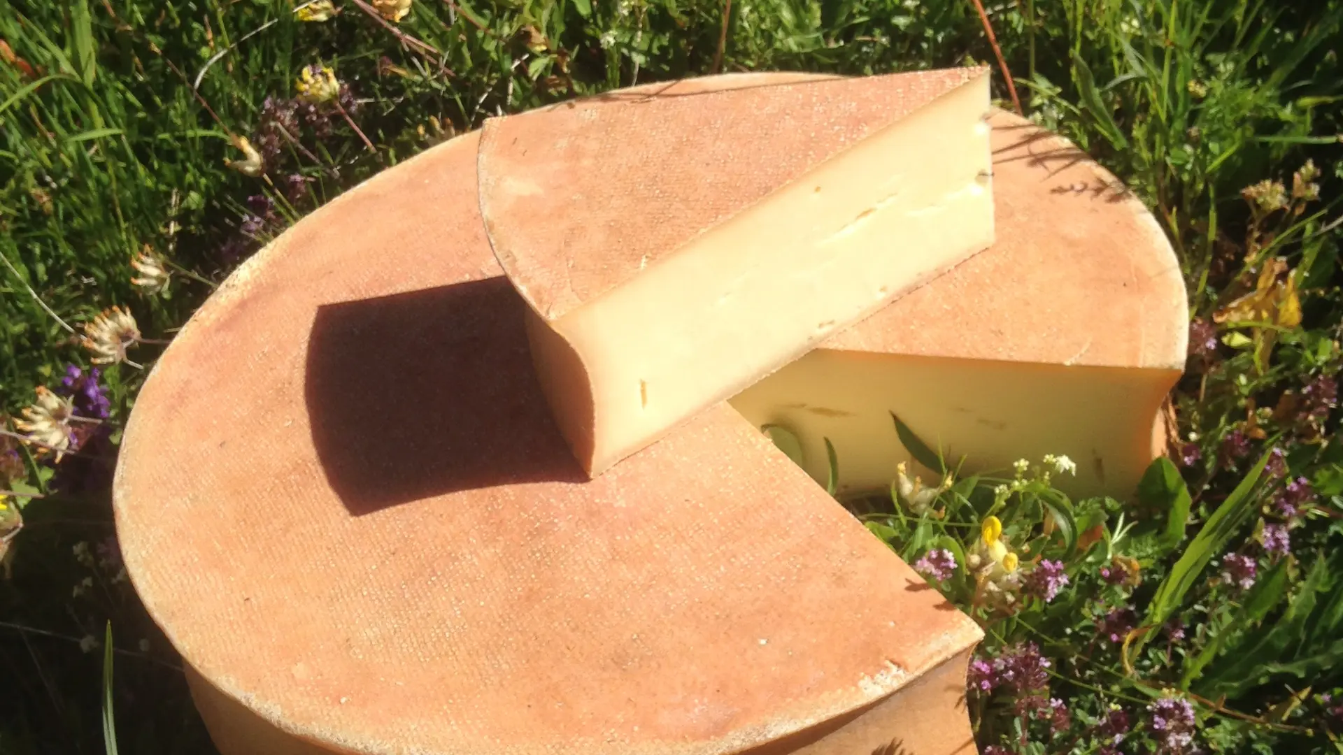 Fromage Abondance fabriqué à l'alapage