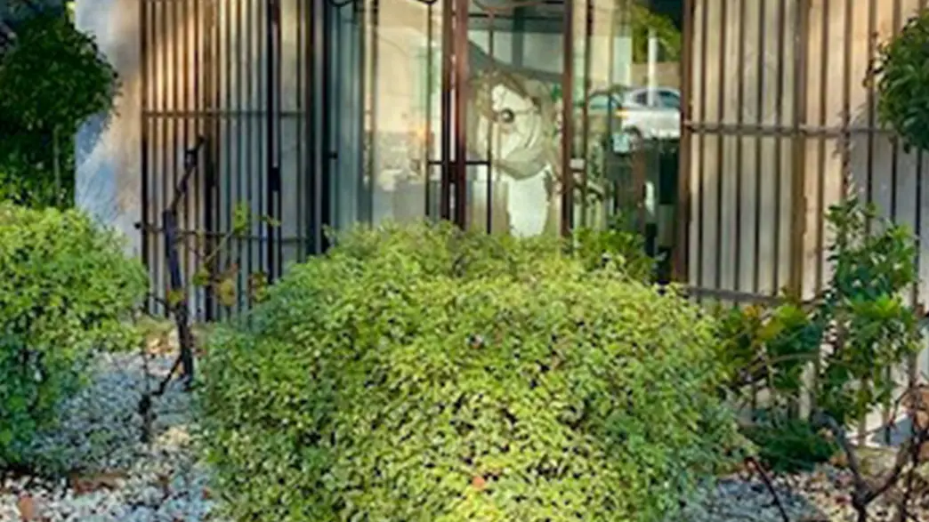 Rue des près luminaires_Saint-Rémy-de-Provence