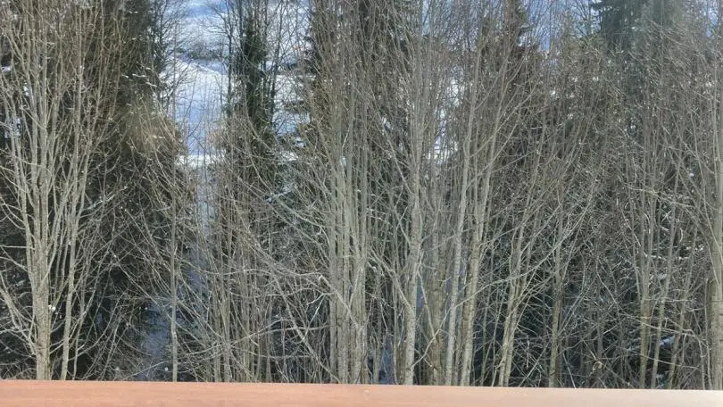 La vue depuis le balcon des chambres