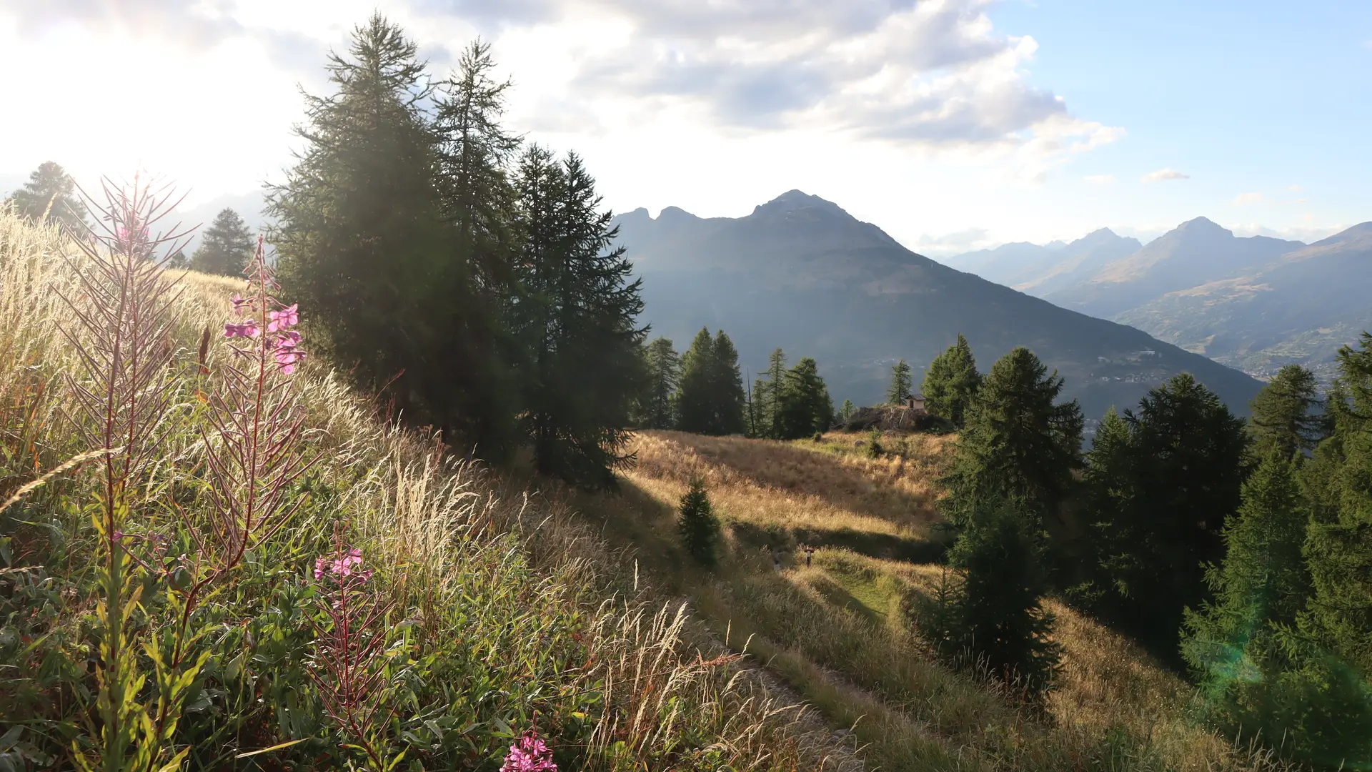 Vue depuis le hameau du Mélézin