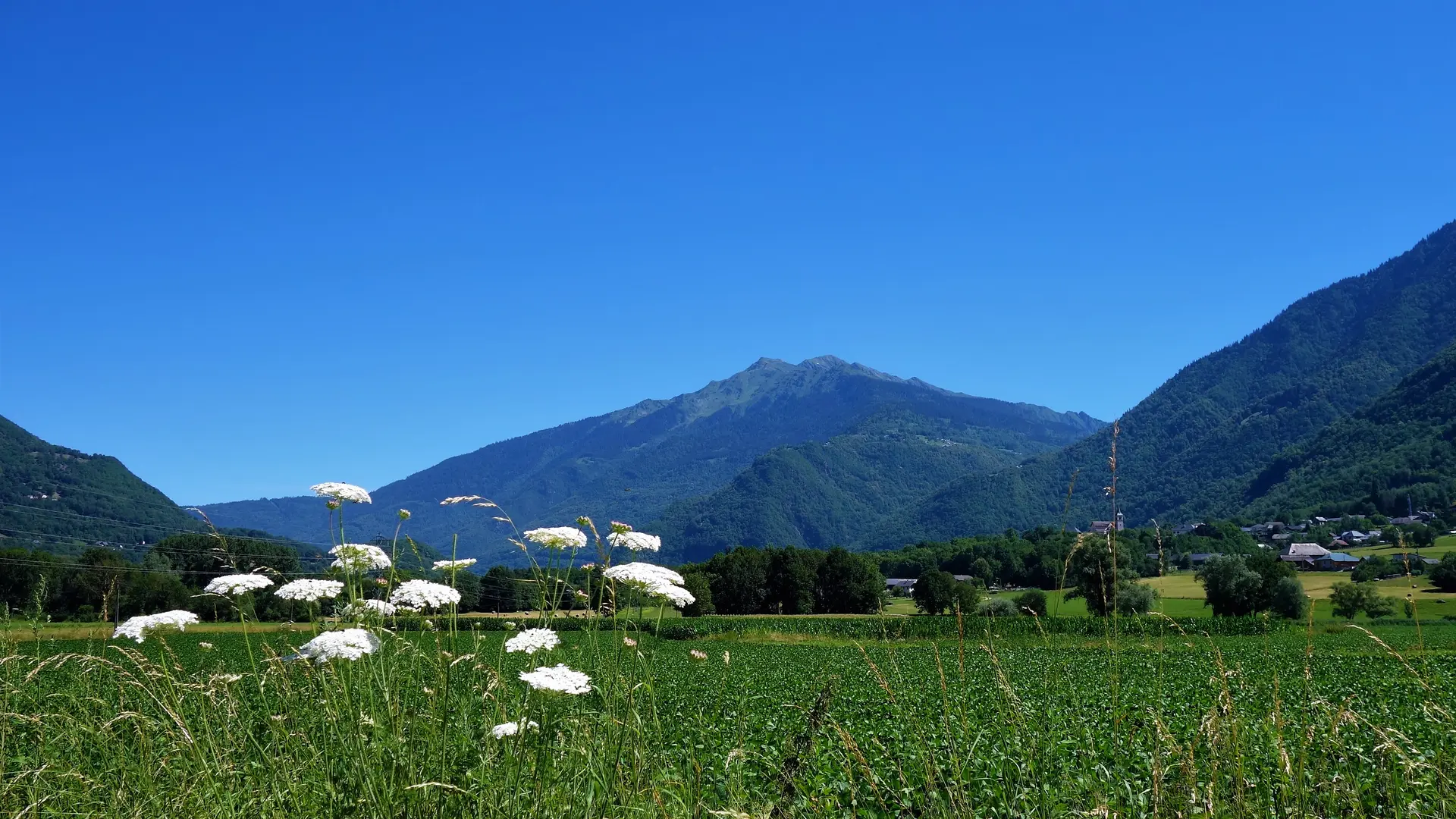En cheminant dans la vallée