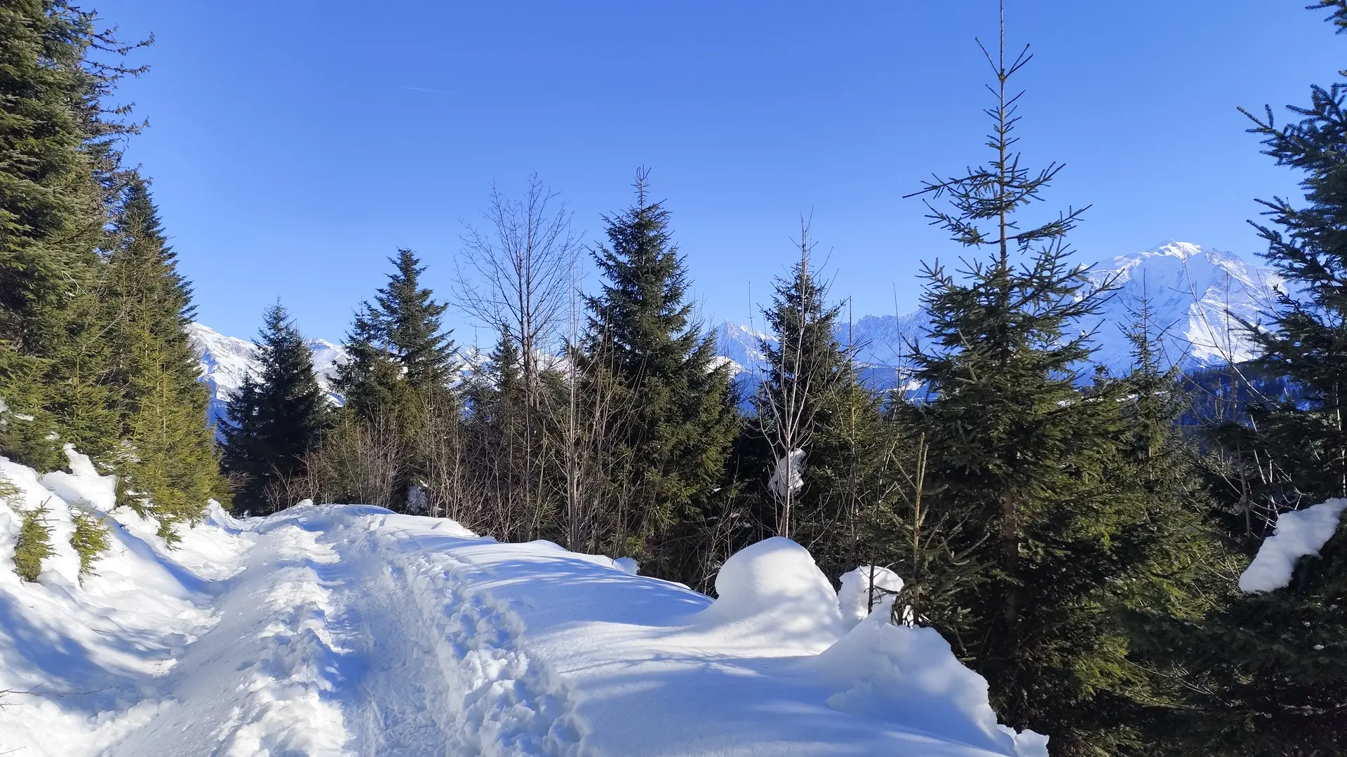 On the way to Chalets de l'Avenaz