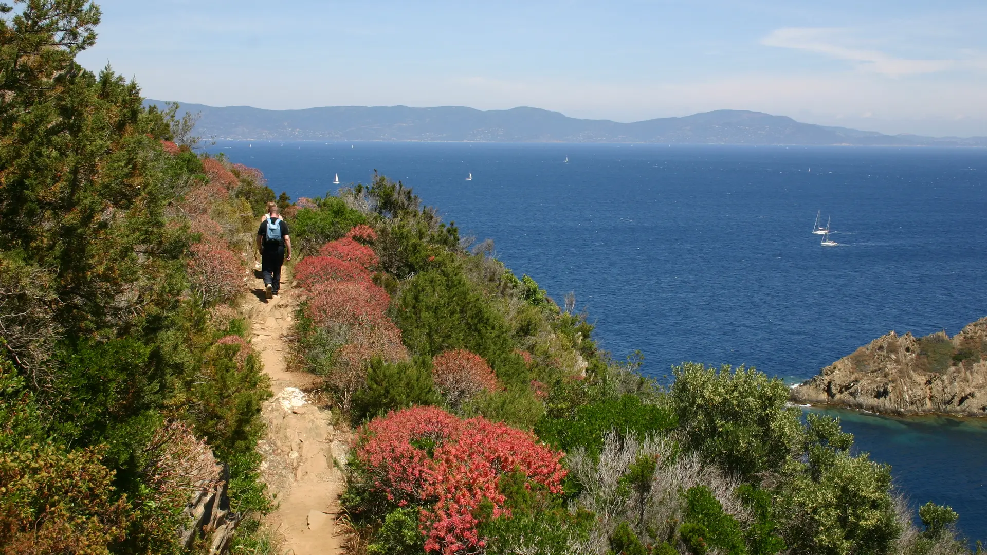 Sentier des plantes