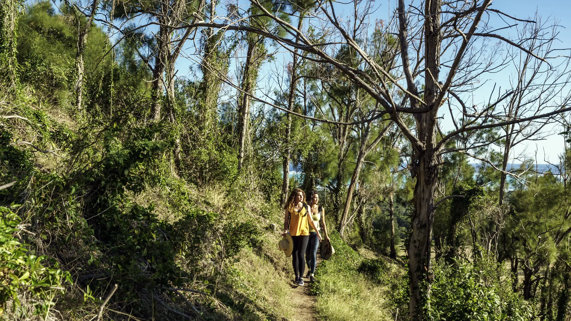 Sentier du Boé Arérédi