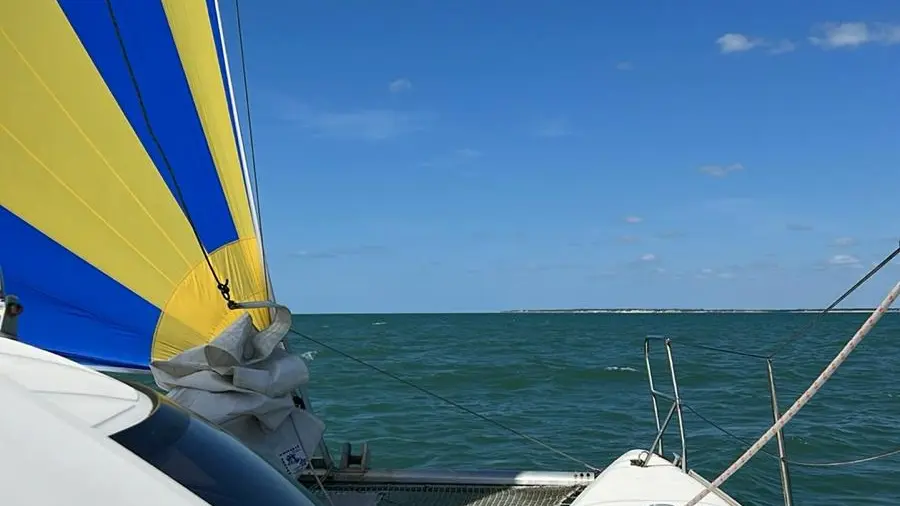 Sortie en catamaran
