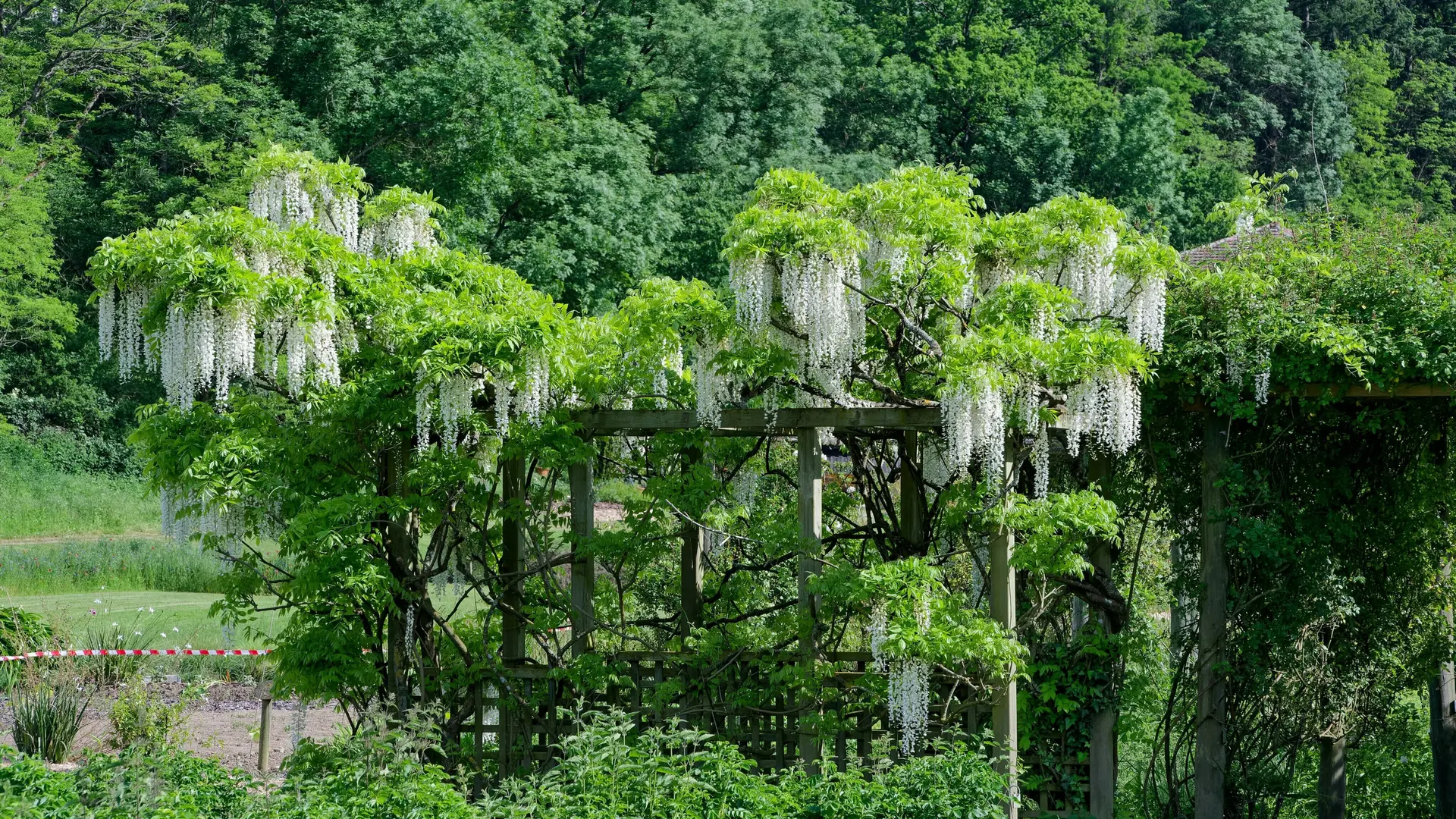 Jardin pour la terre