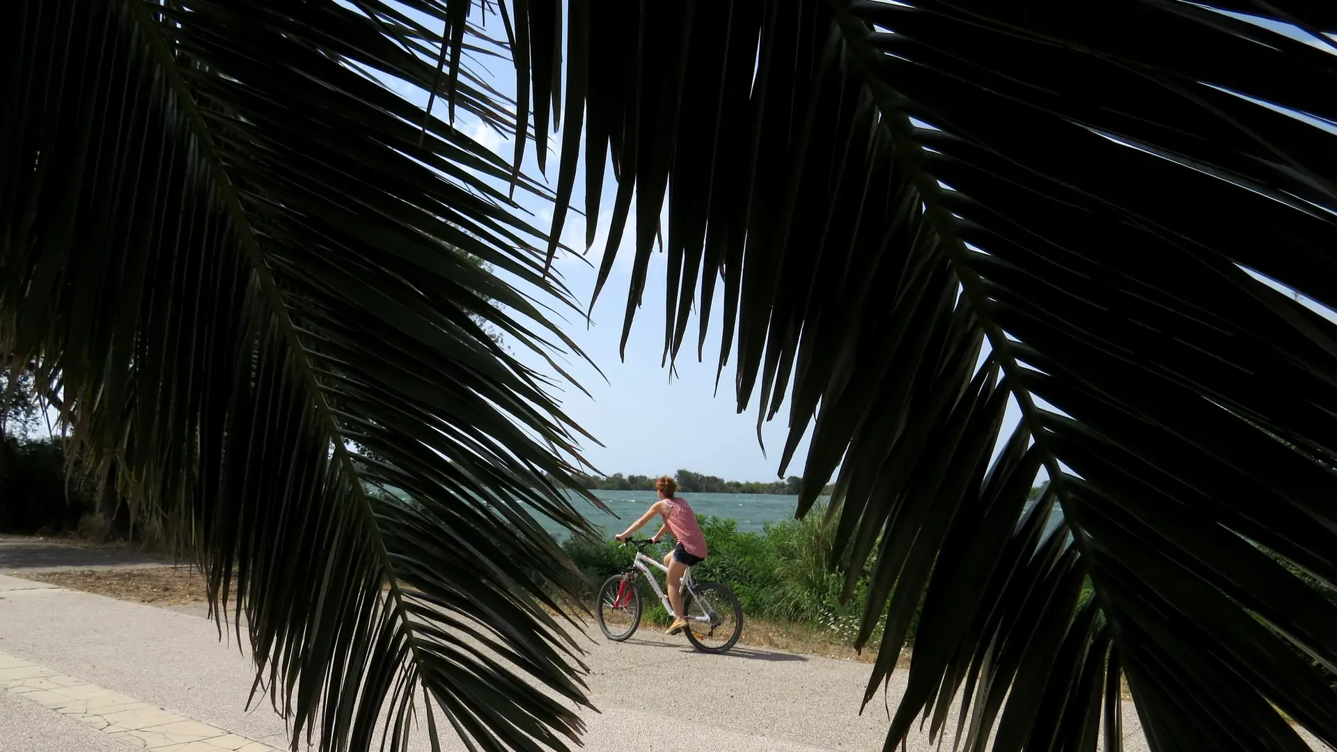 Cycliste sur les rives du Rhône
